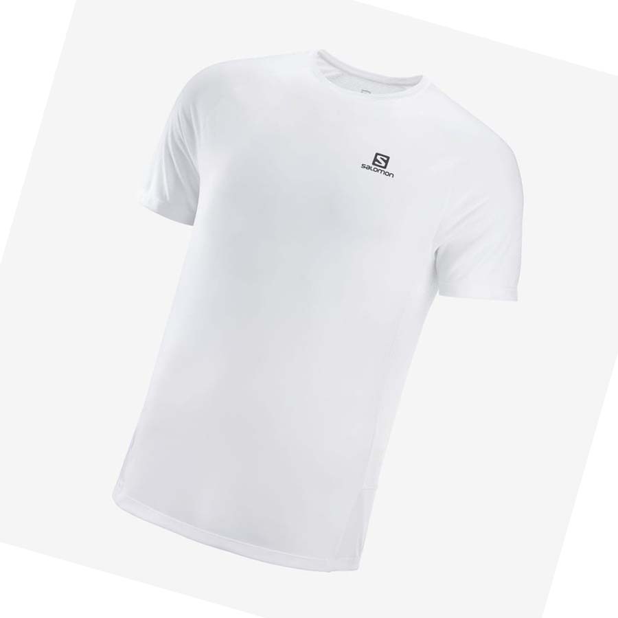 Camiseta Salomon PROMO CROSS REBEL Hombre Blancos | MX 3241GSO